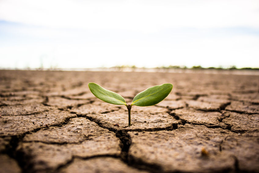 Website Growth