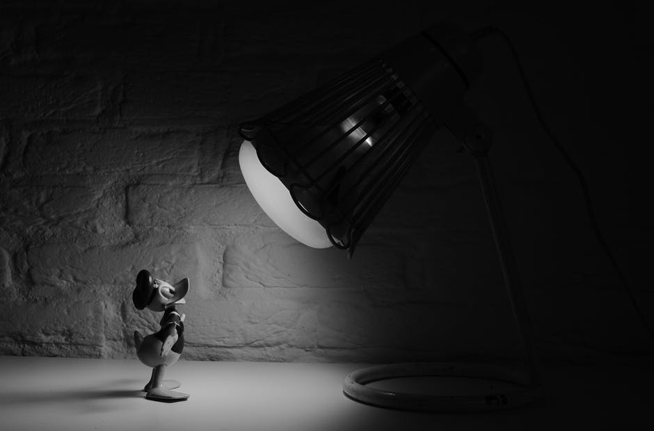 Animated Videos