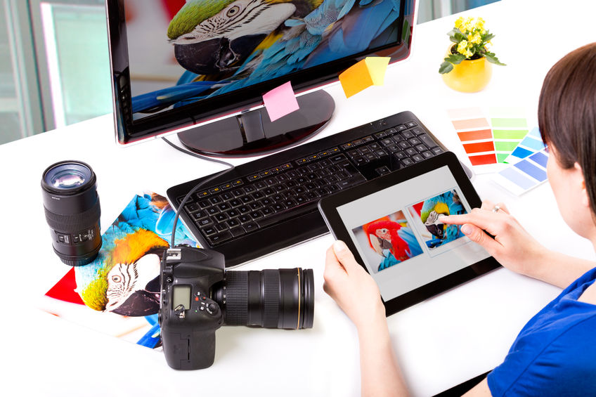 Graphic Designer