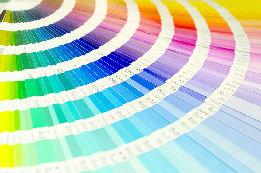 Website Color Scheme