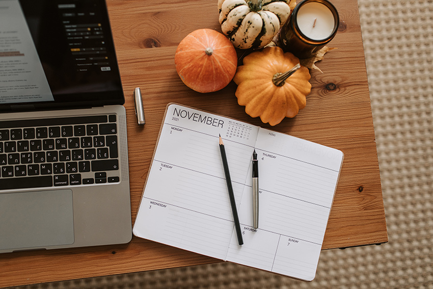 november website design