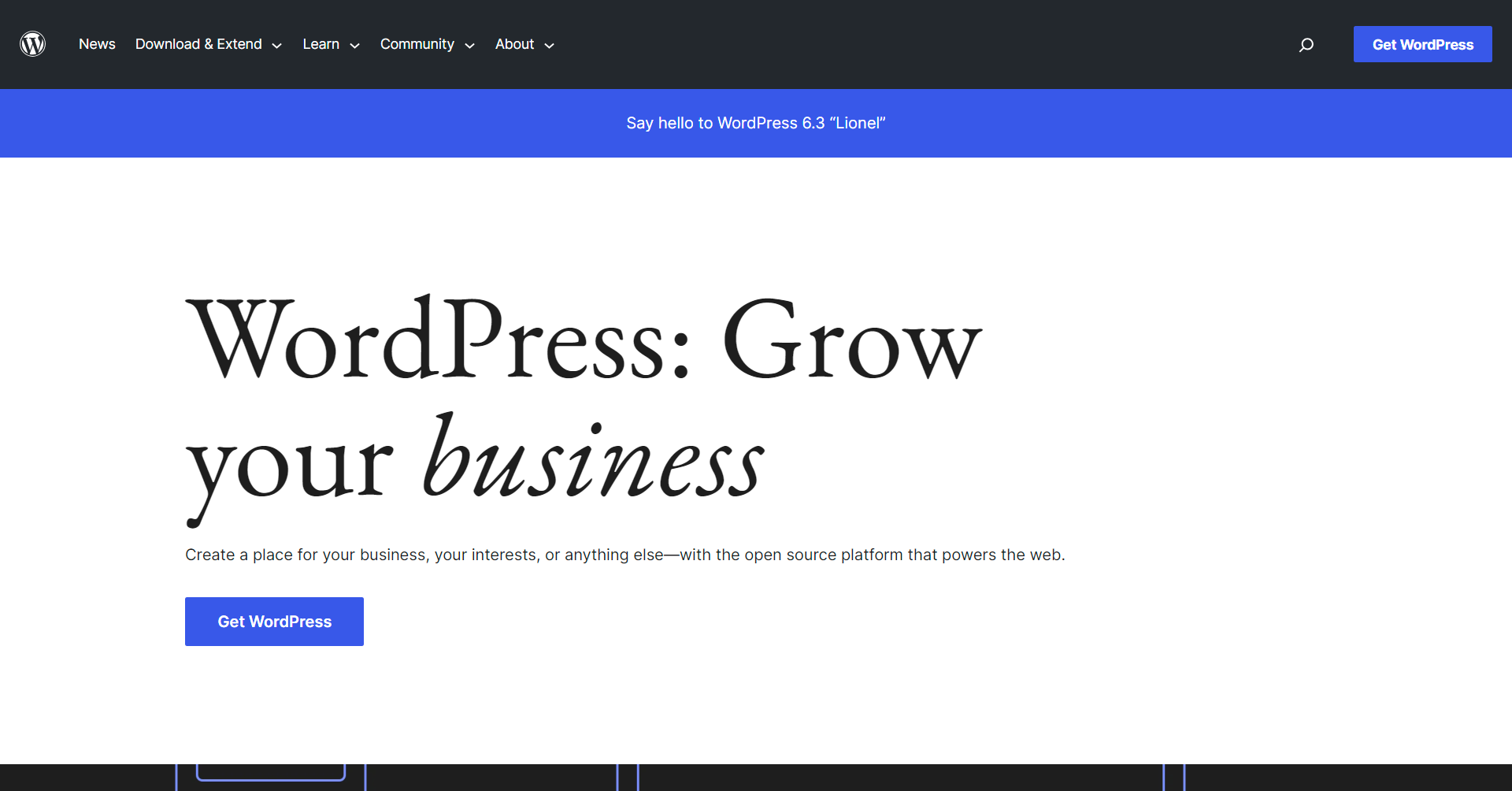 WordPress