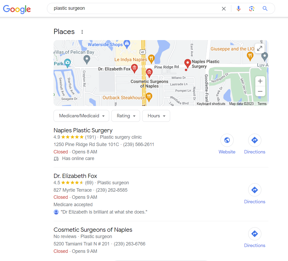 plastic surgeon seo rankings