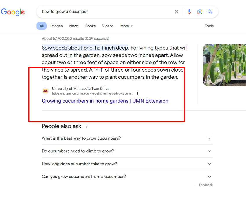 featured-snippet-google