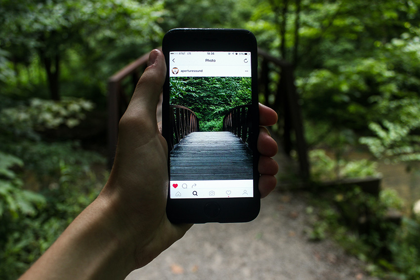 grow ig followers